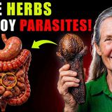 WARNING_ Parasites are KILLING YOU_ (10 HERBS To Kill Them) _ Barbara O_Neill