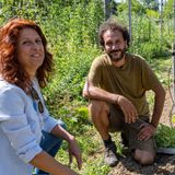 Orto e frutteto in agroforestazione. L'agricoltura del futuro