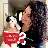 Snake Bites and Your Pet with Dr. Leah Simons