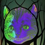 Polydactyl Aboard by Tom Koperwas| A Maritime Ghost Story