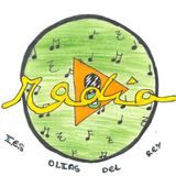 PROGRAMA PILOTO