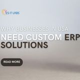 Why Businesses in USA Need Custom ERP Solutions