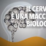 Il cervello è una macchina biologica?