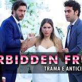 Forbidden Fruit Anticipazioni Turche: Halit e Ender insieme di nuovo: Yıldız crolla!