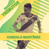 Gonzalo Pity Martínez: El Libertador de América