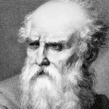 Análisis Del Inicio e Historia de la Arquitectura