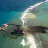 Chi pagherà per l’habitat danneggiato dal recente disastro ambientale a Mauritius?