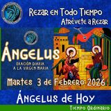 Oración del Angelus del día de hoy, Martes 3 de Febrero 2026, Oración a la virgen María 🌹Oracion diaria a la Virgen María 🙏