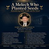 A Melech Who Planted Seeds: Remembering Rabbi Tendler ZT"L and Ner Yisroel