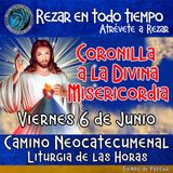 CORONILLA A LA DIVINA MISERICORDIA DE HOY VIERNES 6 DE JUNIO 2025. 🙏 REZAR EN TODO TIEMPO.     
