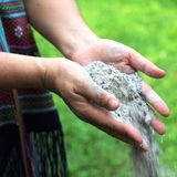 La quaresima contro l'evoluzionismo