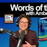 Words of the Year 📖 (with Amber)