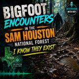 BIGFOOT ENCOUNTERS FROM THE SAM HOUSTON NATIONAL FOREST IN TEXAS | A QUEST TO DISCOVER THE TRUTH