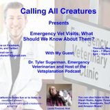 Calling All Creatures Presents Emergency Vet Visits, What Should We Know About Them?