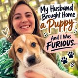 🐶 My Husband Brought Home a Puppy… And I Was Furious