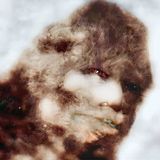 SO EP:426 The Face Of Bigfoot?