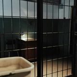 Angherie continue alla madre, poi la pretesa di entrare in casa: arrestata figlia 25enne