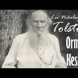 Orman Kesimi  Lev Nikolayeviç TOLSTOY sesli öykü tek parça Akın ALTAN