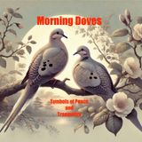 Mourning Doves- Symbols of Peace and Tranquility