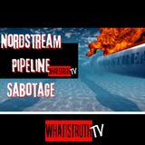 #119 Nordstream Pipeline Sabotage and American Fingerprints are all over #nordstream #conspiracy #hersh #911