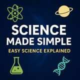 What Is a Black Hole? | The Science Behind Extreme Gravity