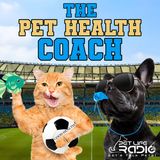 The Pet Health Coach Episode 36 Soul Talk: How Our Pets Mirror Our Emotions & Help Us Heal with Nicole Harp