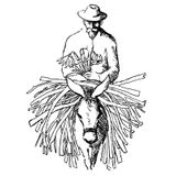 A Spanish Poet and His Donkey Changed My Life