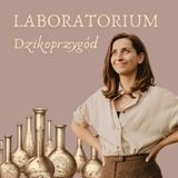 Laboratorium Dzikoprzygód - wapń, muszelki i jaskinie
