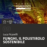 Luca Ficarelli: funghi, il polistirolo sostenibile
