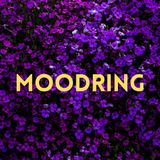 RS #140 - The Color of a Moment with Hunter Young | Moodring