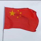 Chinese Police In The United States