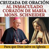 Cruzada Mundial de Oración al Inmaculado Corazón de María para que Dios intervenga en la Iglesia.