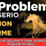 # 157 - Cosa succede se il cavallo non dorme