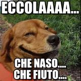 #pd Quanto conta il naso nella scelta del moroso?