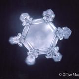 The Great Day of Love and Gratitude 2017 - The Masaru Emoto's Experiments