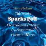 The Grateful Artist - Sparks Pod -Occasional Intense Unreasonable Focus + More!