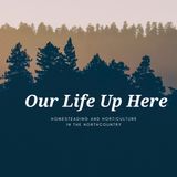 Q&A Show From Listener Emails
