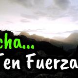 Tienes Que Luchar y Tener Fuerzas Para Seguir Adelante ¦ Gratitud, Frases, Reflexiones, Motivación