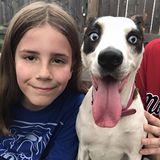 "Please Don't Repo Fido." Lawmakers Ban Pet Leasing - A Boy's Mission To Pet A Million Dogs