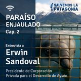 Capítulo 2: Áreas protegidas en Chile, promesas y amenazas. Entrevista a Erwin Sandoval.