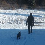 Il cane muore, anziano cerca conforto in canile: “Era la mia famiglia, non sapevo dove andare”