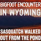 BIGFOOT ENCOUNTER FROM WYOMING | IT STOOD UP FROM THE POND