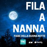 VIAGGIO AL CENTRO DELLA MOLE - MOLE ANTONELLIANA