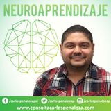 #7 - Ciencia y neuroaprendizajes
