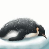 El pingüino perezoso | Cuentos de Pereza