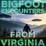 BIGFOOT ENCOUNTERS FROM VIRGINIA | THIS THING LOOKED LIKE A GORILLA (INTO THE UNKNOWN) #bigfoot