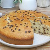Torta 5 minuti cocco e cioccolato con impasto allo yogurt