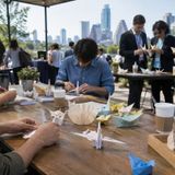 Resume Folding Wars: Austin’s Origami Job Hunt