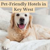 Embrace Paradise The Top Pet-Friendly Hotels in Key West