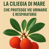 Corbezzolo: la ciliegia di mare che protegge le vie urinarie e respiratorie